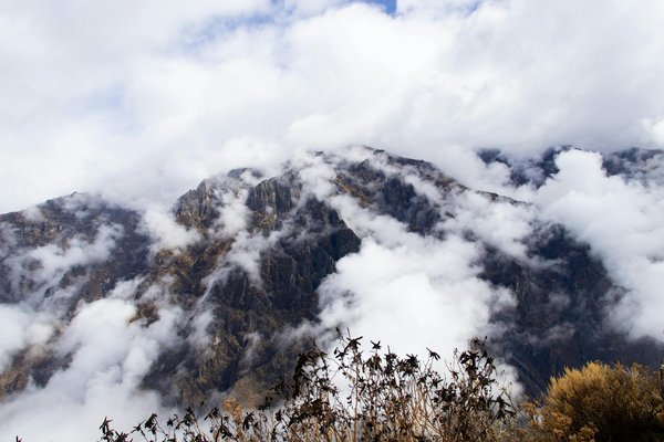 Louer un vélo à porquerolles : top options pour votre escapade !